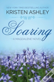 Capa do artigo Soaring