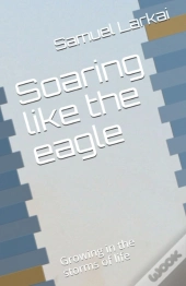 Soaring Like The Eagle