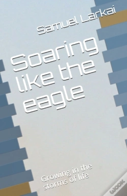 Capa do artigo Soaring Like The Eagle