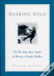 Capa do artigo Soaring Solo