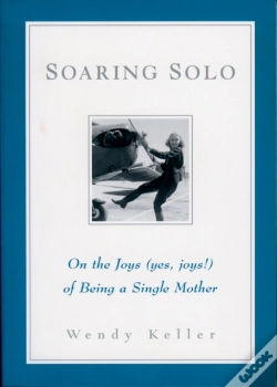 Capa do artigo Soaring Solo