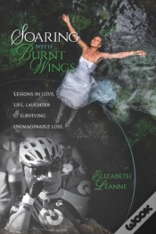 Capa do artigo Soaring With Burnt Wings:: Lessons In Lo
