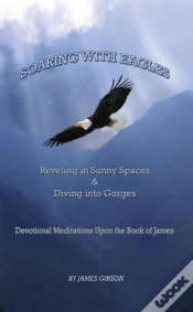 Capa do artigo Soaring With Eagles
