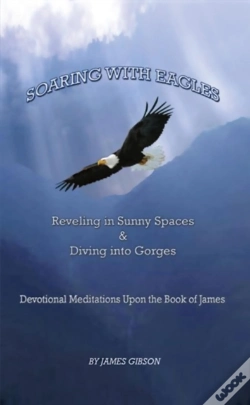 Capa do artigo Soaring With Eagles