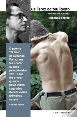 Capa do artigo Sob a Luz Feroz do Teu Rosto
