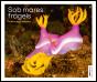 Sob Mares Frágeis - Preview