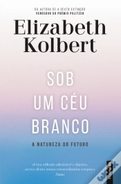 Capa do artigo Sob um Céu Branco
