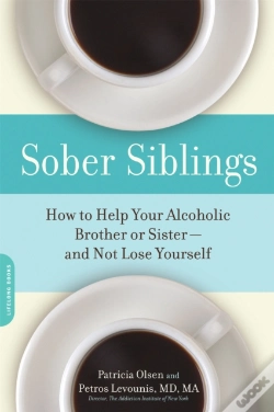 Capa do artigo Sober Siblings