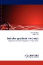 Sobolev Gradient Methods - Preview