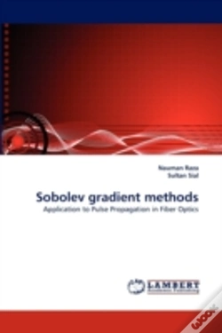 Capa do artigo Sobolev Gradient Methods