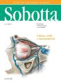 Sobotta. Atlas De Anatomía Humana Vol 3 (24ª Ed.) - Preview