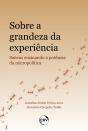 Sobre A Grandeza Da Experiência - Preview