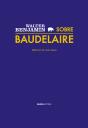 Sobre Baudelaire - Preview
