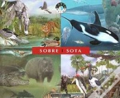 Capa do artigo Sobre I Sota