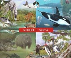 Capa do artigo Sobre I Sota