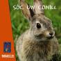 Sóc Un Conill - Preview