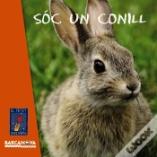 Capa do artigo Sóc Un Conill