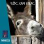 Soc Un Ruc - Preview