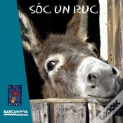 Capa do artigo Soc Un Ruc