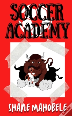 Capa do artigo Soccer Academy