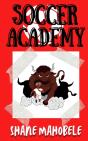 Soccer Academy - Preview