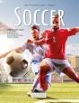 Soccer | Board Game - Preview