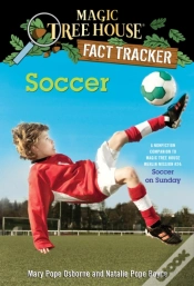 Capa do artigo Soccer