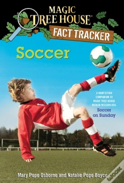 Capa do artigo Soccer