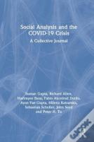 Social Analysis And The Covid-19 Crisis