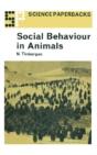 Social Behaviour In Animals - Preview