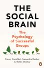 Social Brain - Preview