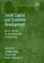 Social Capital And Economic Development - Preview