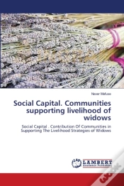 Capa do artigo Social Capital. Communities  Supporting