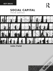 Capa do artigo Social Capital