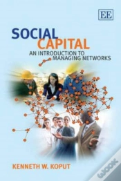 Capa do artigo Social Capital