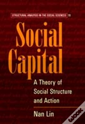 Capa do artigo Social Capital