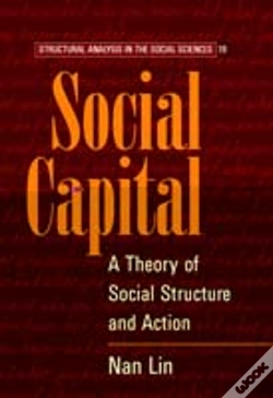 Capa do artigo Social Capital