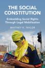 Social Constitution - Preview