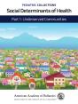 Social Determinants Of Health - Preview
