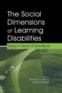 Social Dimensions Of Learning Disabilities - Preview