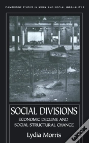 Capa do artigo Social Divisions