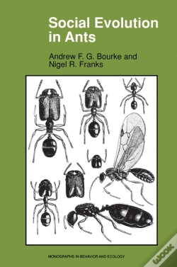 Capa do artigo Social Evolution In Ants