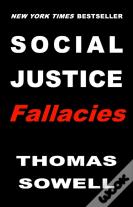 Social Justice Fallacies