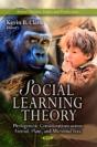 Social Learning Theory - Preview