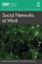 Social Networks At Work - Preview