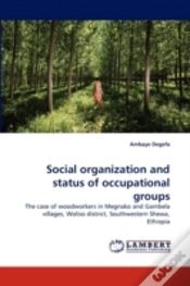 Capa do artigo Social Organization And Status Of Occupational Groups