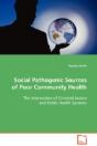 Social Pathogenic Sources Of Poor Community Health - Preview