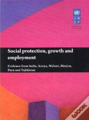 Capa do artigo Social Protection, Growth And Employment