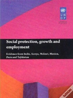 Capa do artigo Social Protection, Growth And Employment