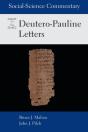 Social-Science Commentary On The Deutero-Pauline Letters - Preview